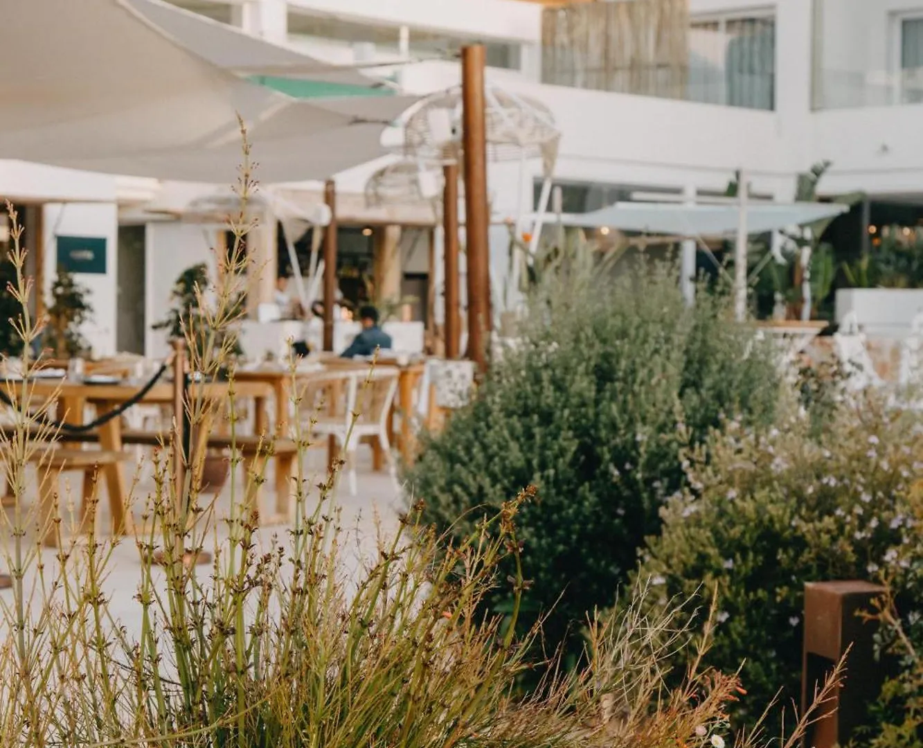 酒店 Lago Resort Menorca - Suites Del Lago Adults Only 卡兰博希